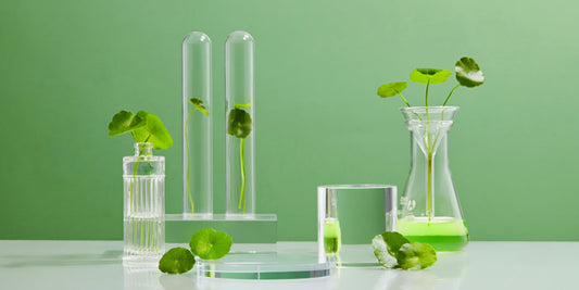Debunking Common Natural Skincare Myths